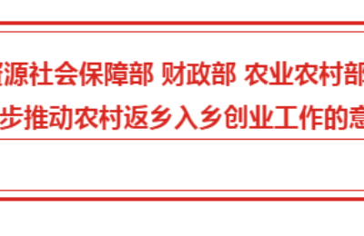 国家关于进一步推动农村返乡入乡创业工作的意见